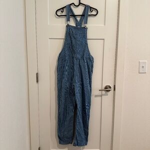 Aerie Train Stripe Overalls Women's Small